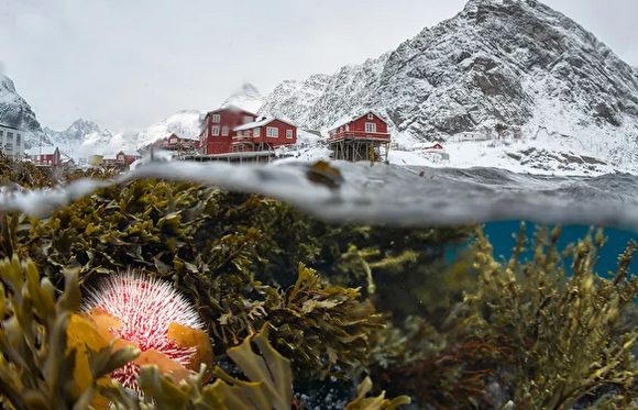 Источник: naturephototalks.ru