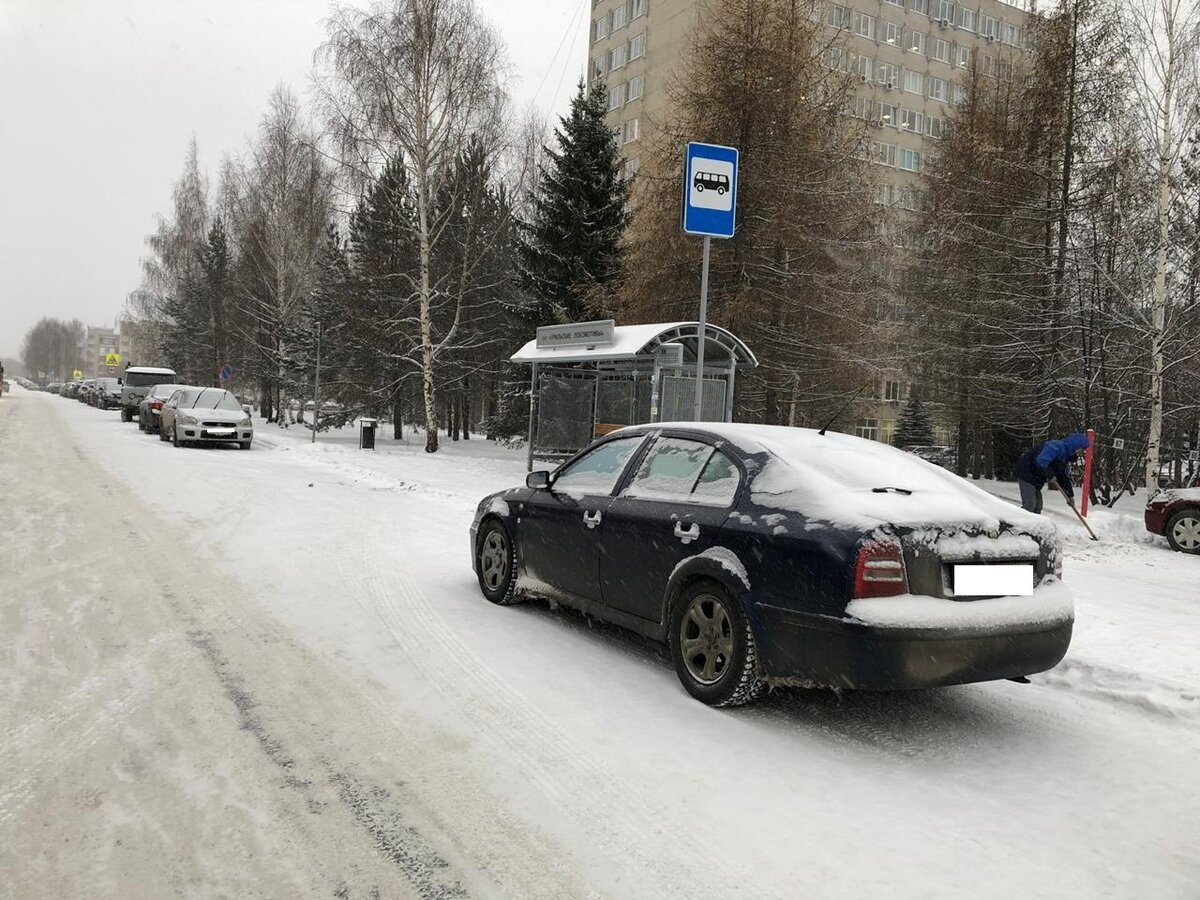 Дорожной разметки не видно, остановка запрещено за 15 метров до и после стойки дорожного знака 5.16 "Место остановки автобуса и троллейбуса".