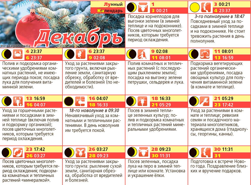 Календарь дачника. Календарь посадки растений. Календарь посадки растений. Календарь лекарственных трав. Благоприятные дни для посадки томатов в 2021.