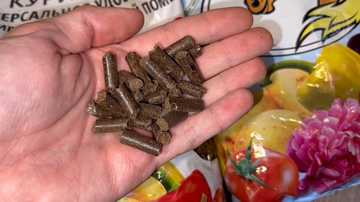 Смородина будет очень крупная и сладкая. Лучшие удобрения весной ...