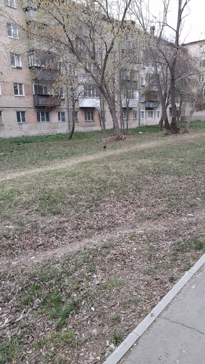 "Доброе утро, мир! Ты прекрасен!" Фото автора