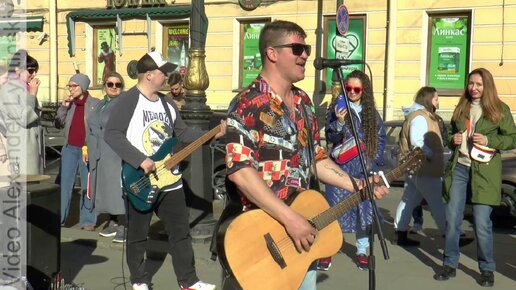 Ленинград песню рыба моей мечты