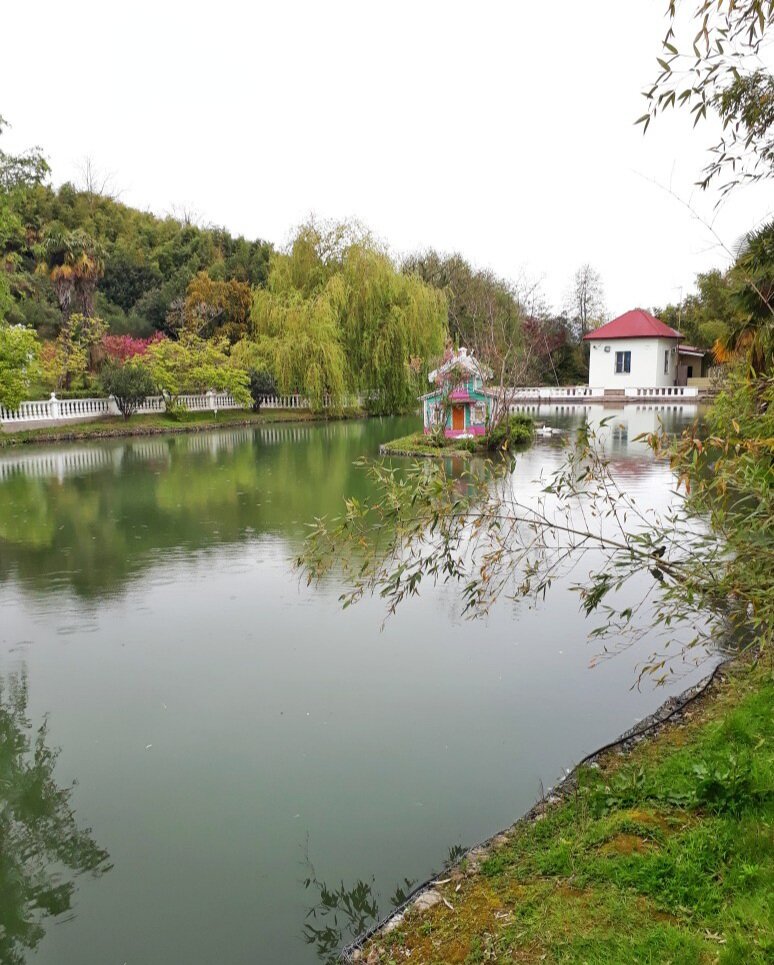 Фото автора канала