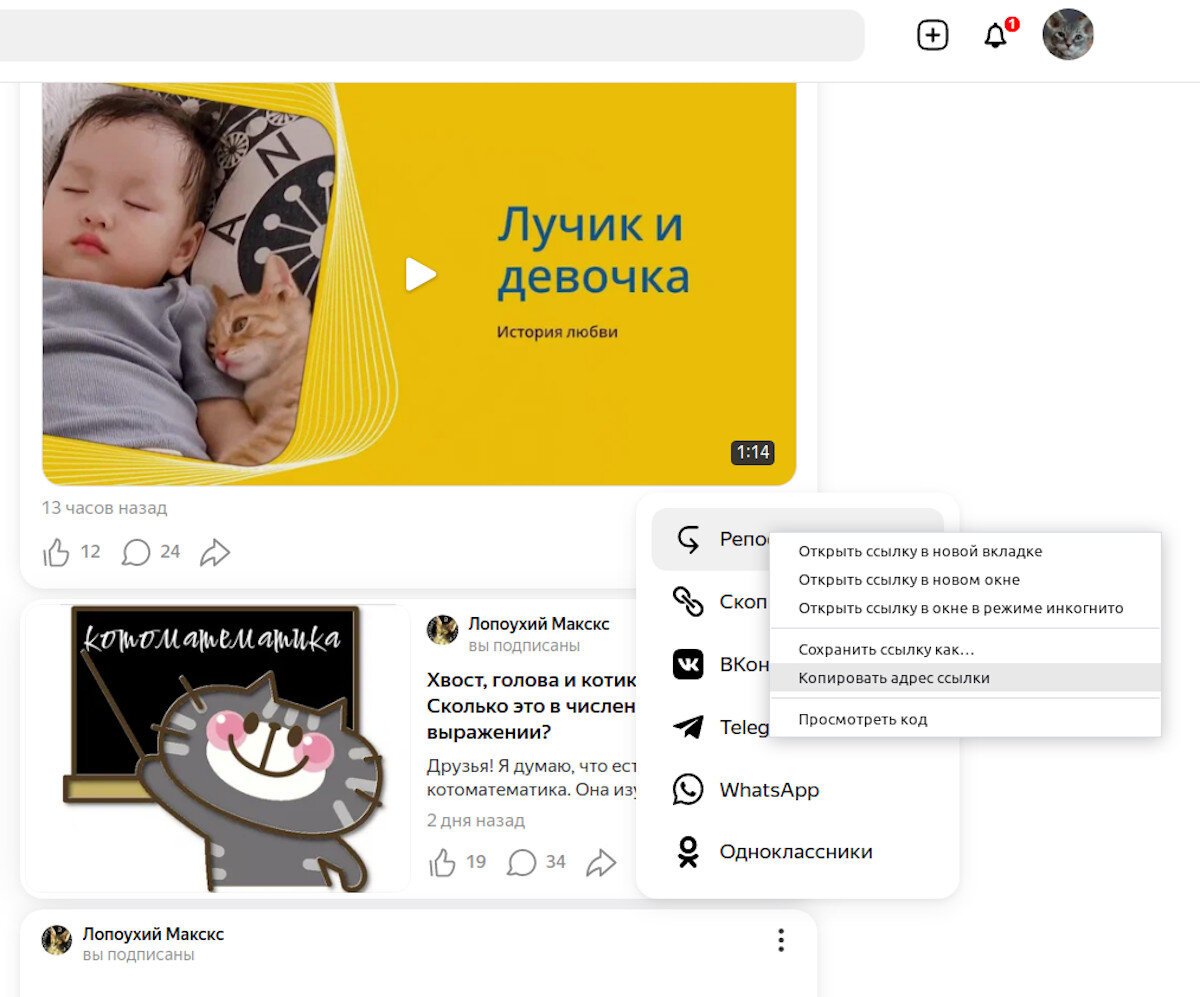 Лопоухий Макскс