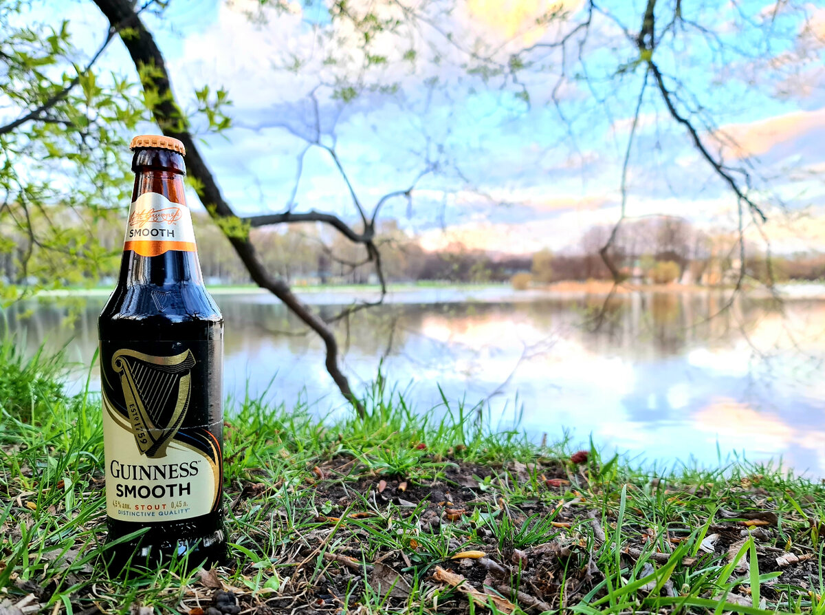 Guinness Smooth, фото автора