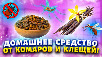 Меня не кусают мухи, комары и мошки ни в парке ни на даче. Сделала средства и забыла о них нав-