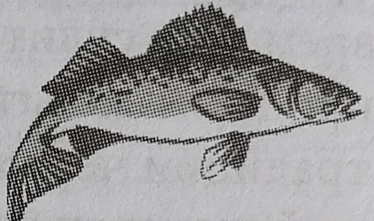 “Основы фэн-шуй” Лиллиан Ту / Издательство “София”