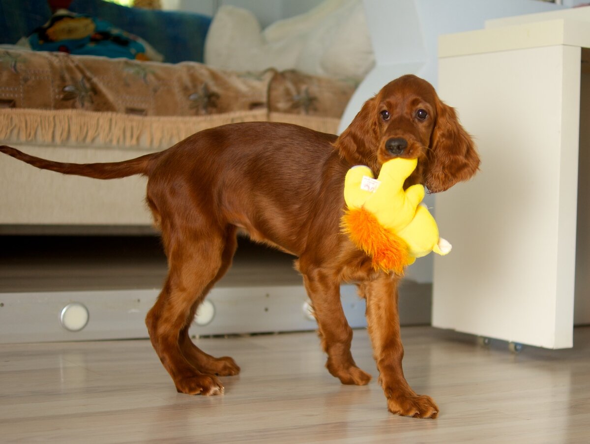 Вот такой была боня 5 лет назад