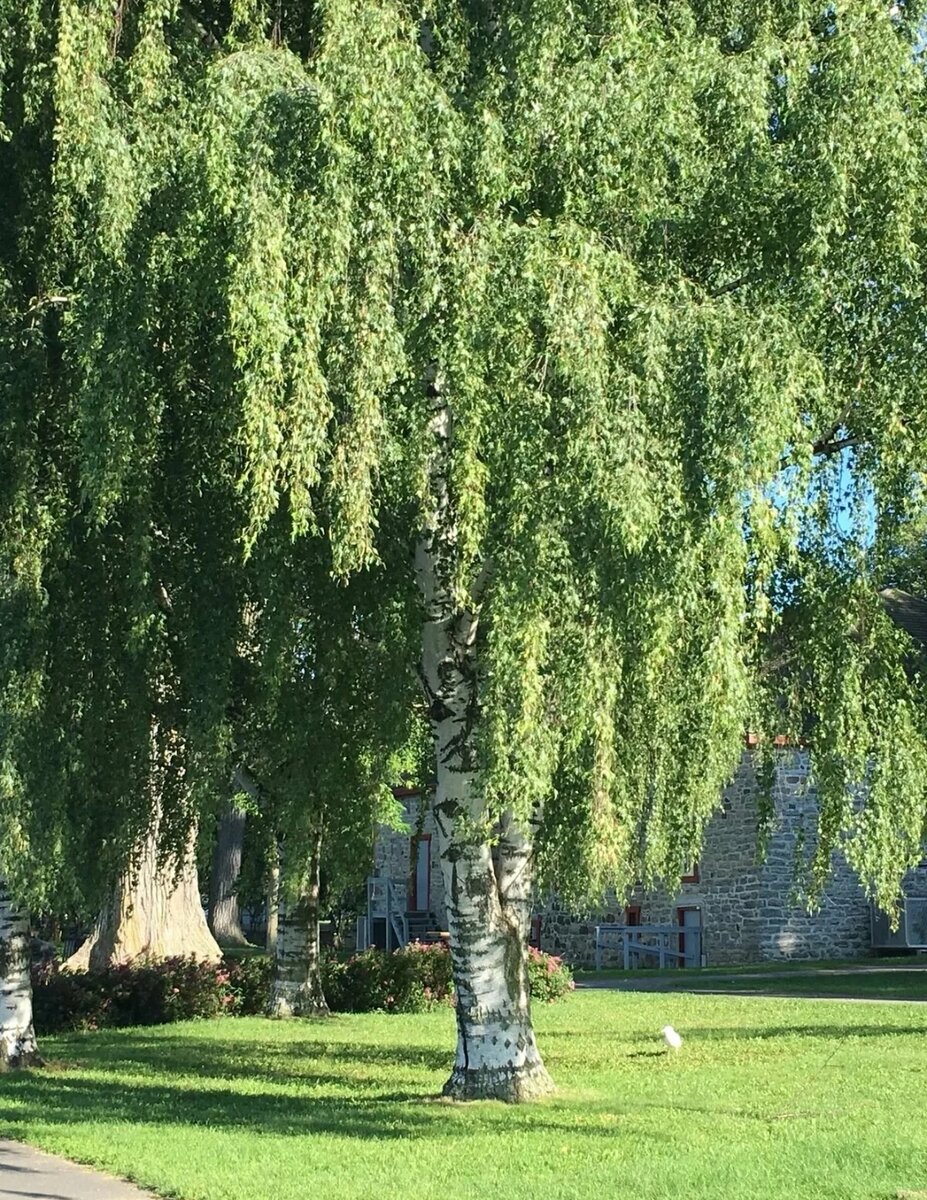 Фото взято из открытых источников. 