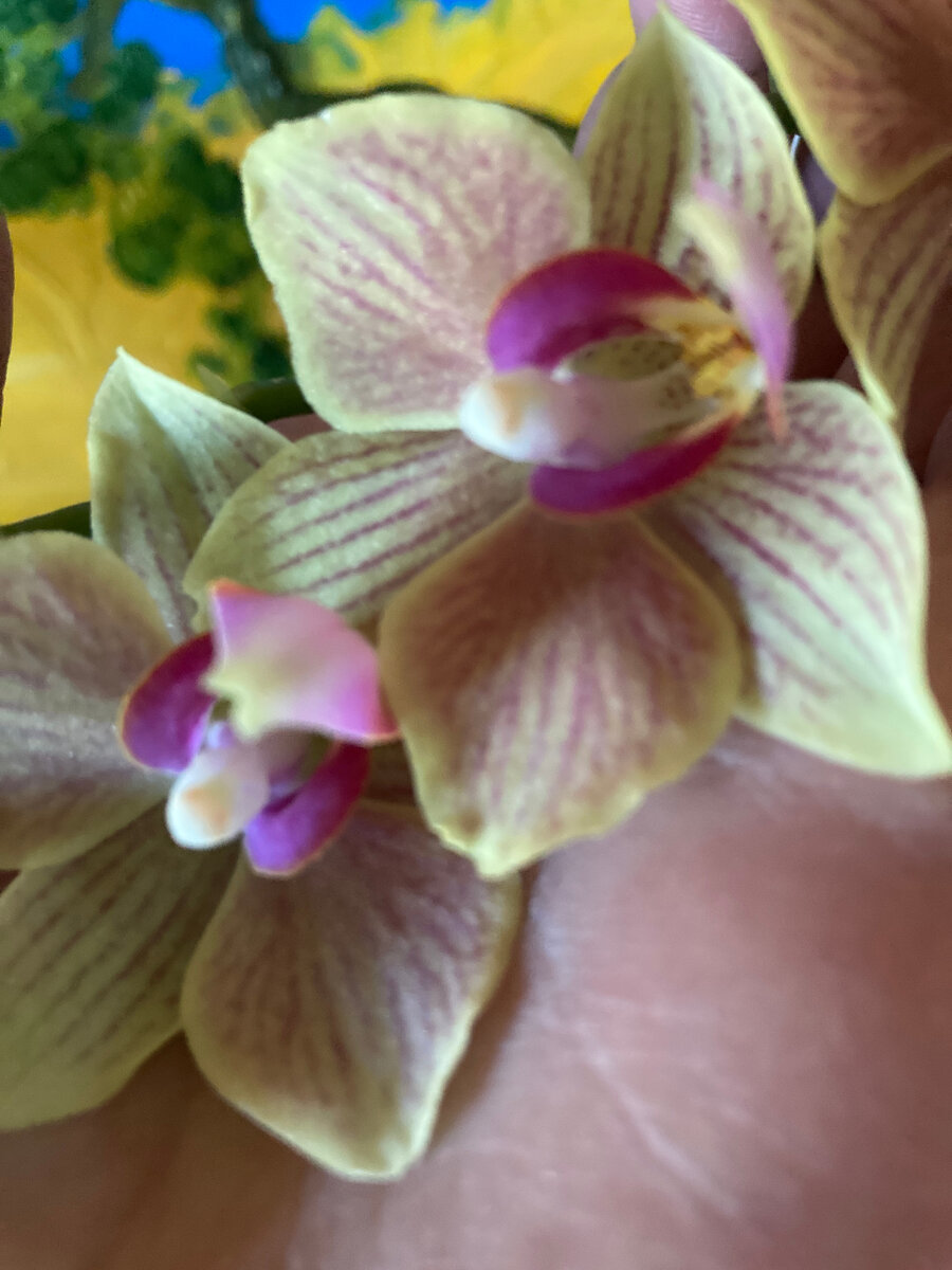 Фото принадлежит автору