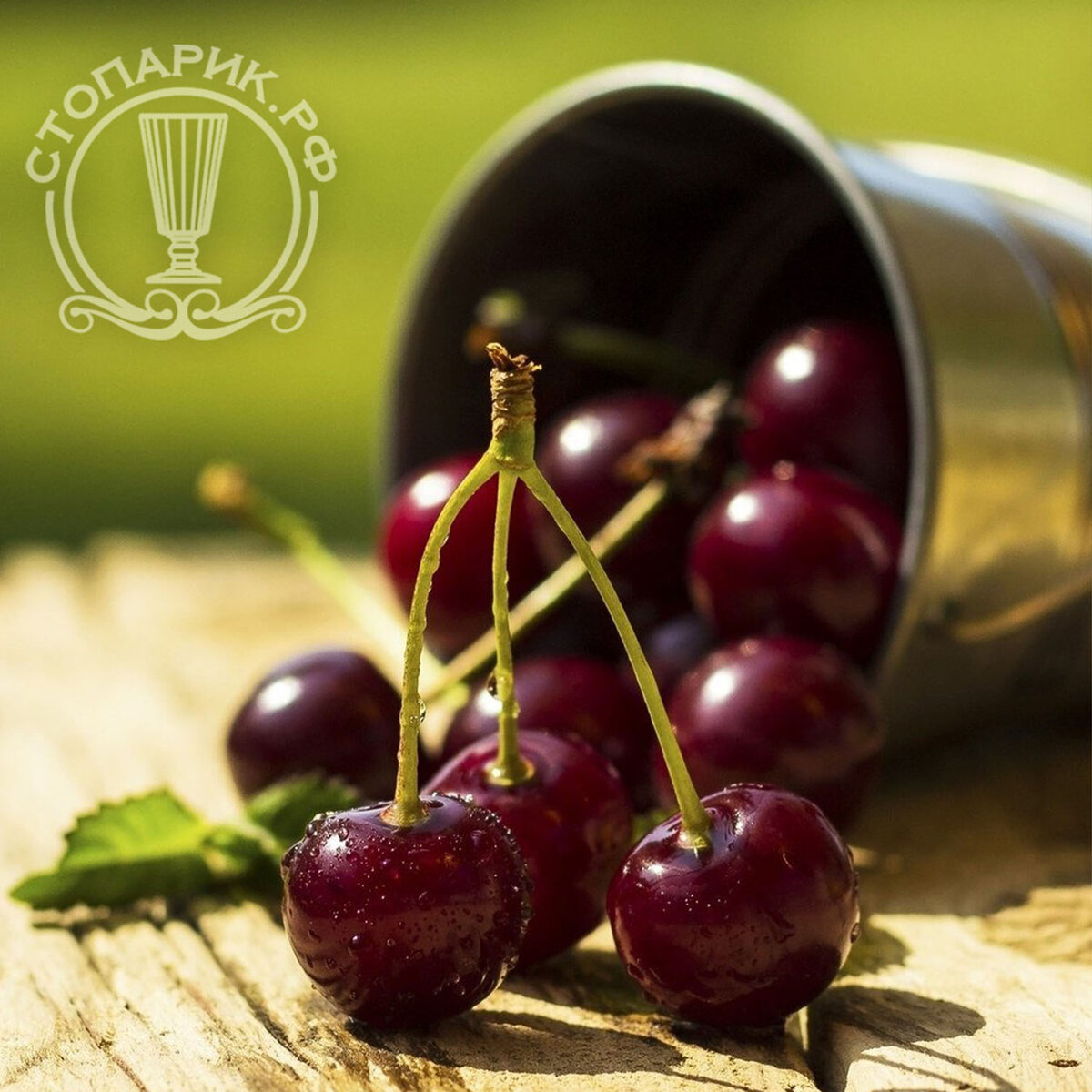 Взято из открытого источника 