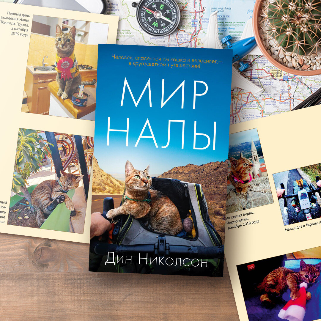 Иллюстрации: Дарья Ключникова