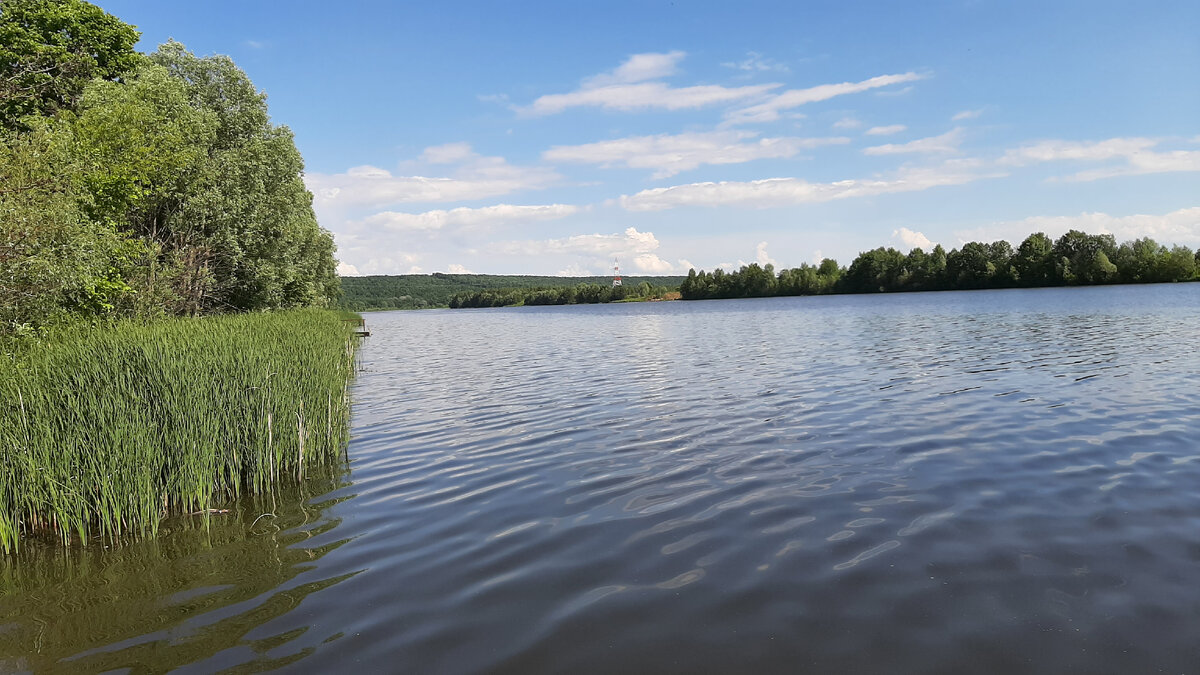 Река сура какая рыба. Река Сура Ульяновская область. Сура Чувашия. Река Сура Чебоксары. Река Сура Дракино.