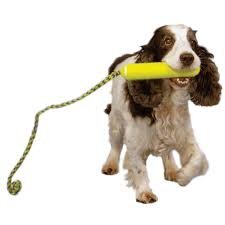 Фото с просторов 