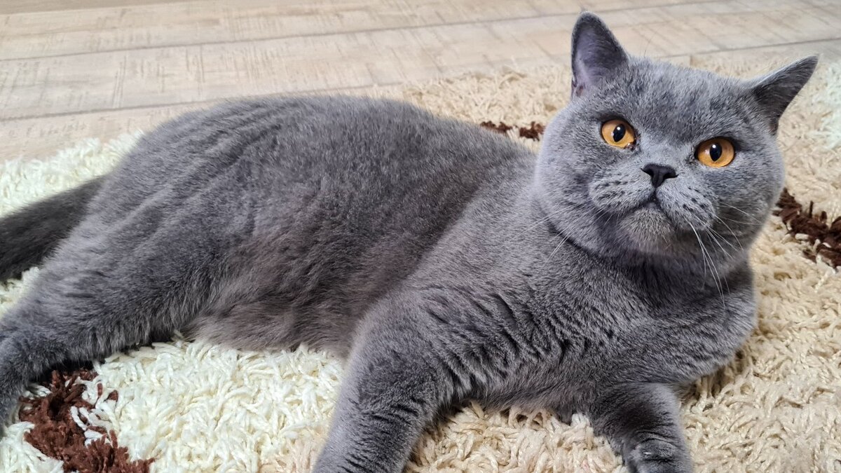 Лёня любит лежать один