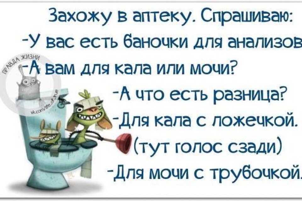 Приколы новая жизнь. Правда жизни цитаты. Правда жизни смешные картинки. Правда жизни цитаты прикольные. Смешные цитаты с картинками правда жизни.