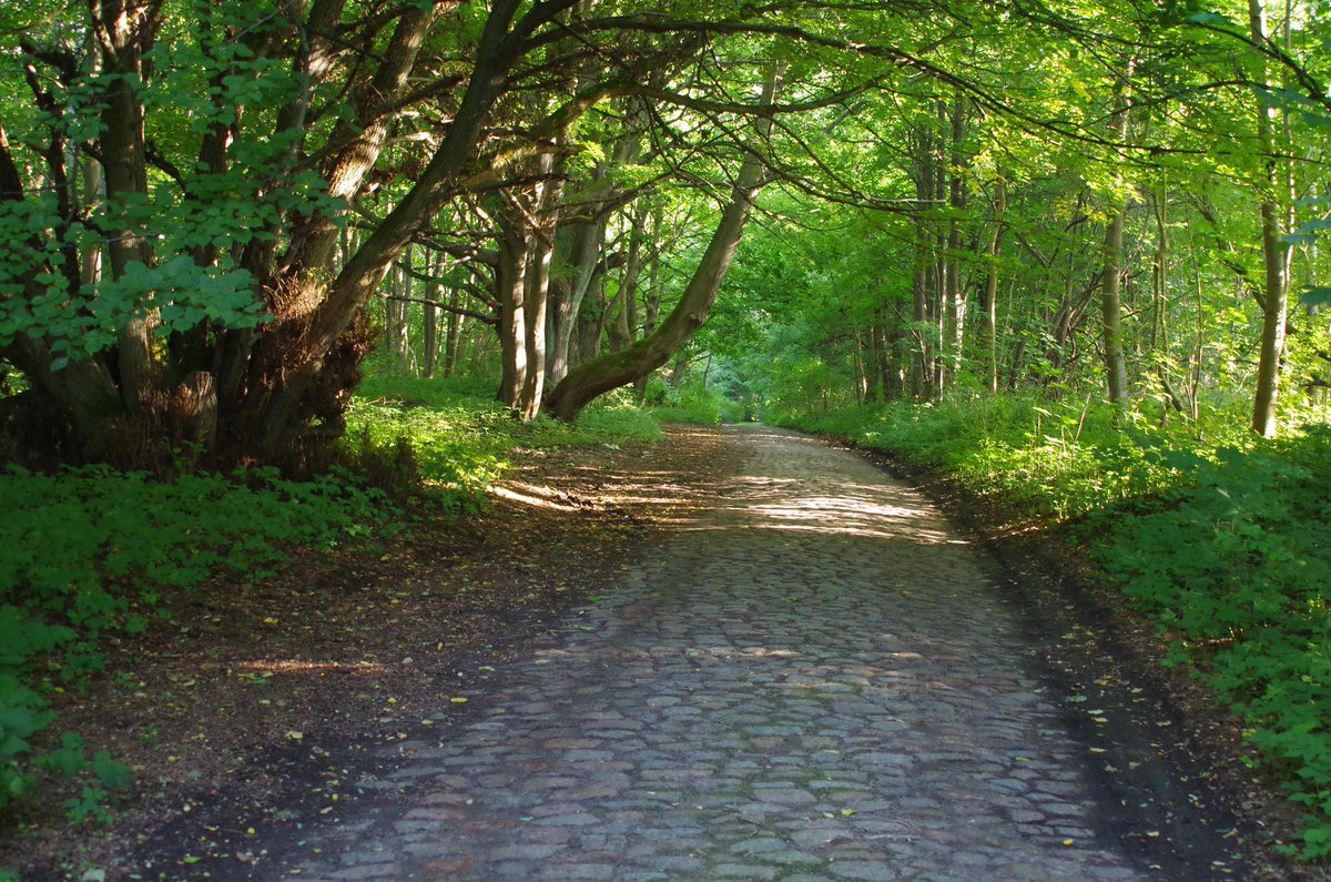 фото из интернета