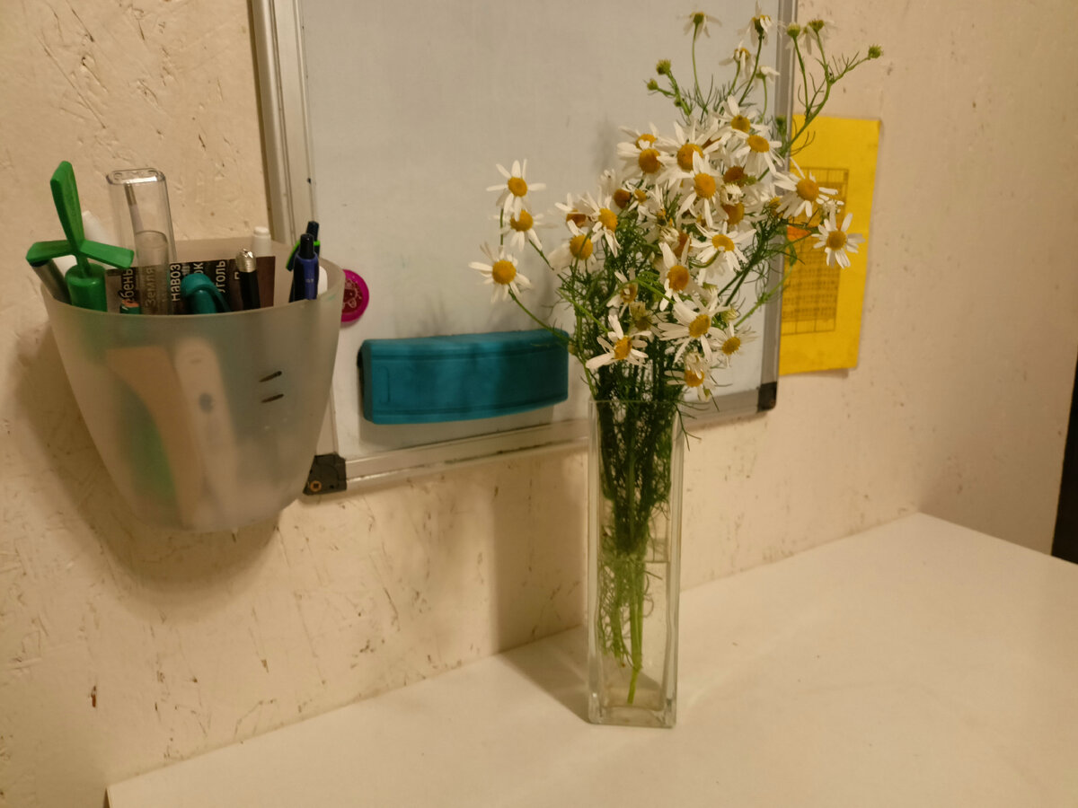 Заодно и повод показать всем, что и у тебя тоже есть мужик