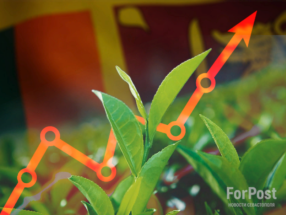 Коллаж ForPost