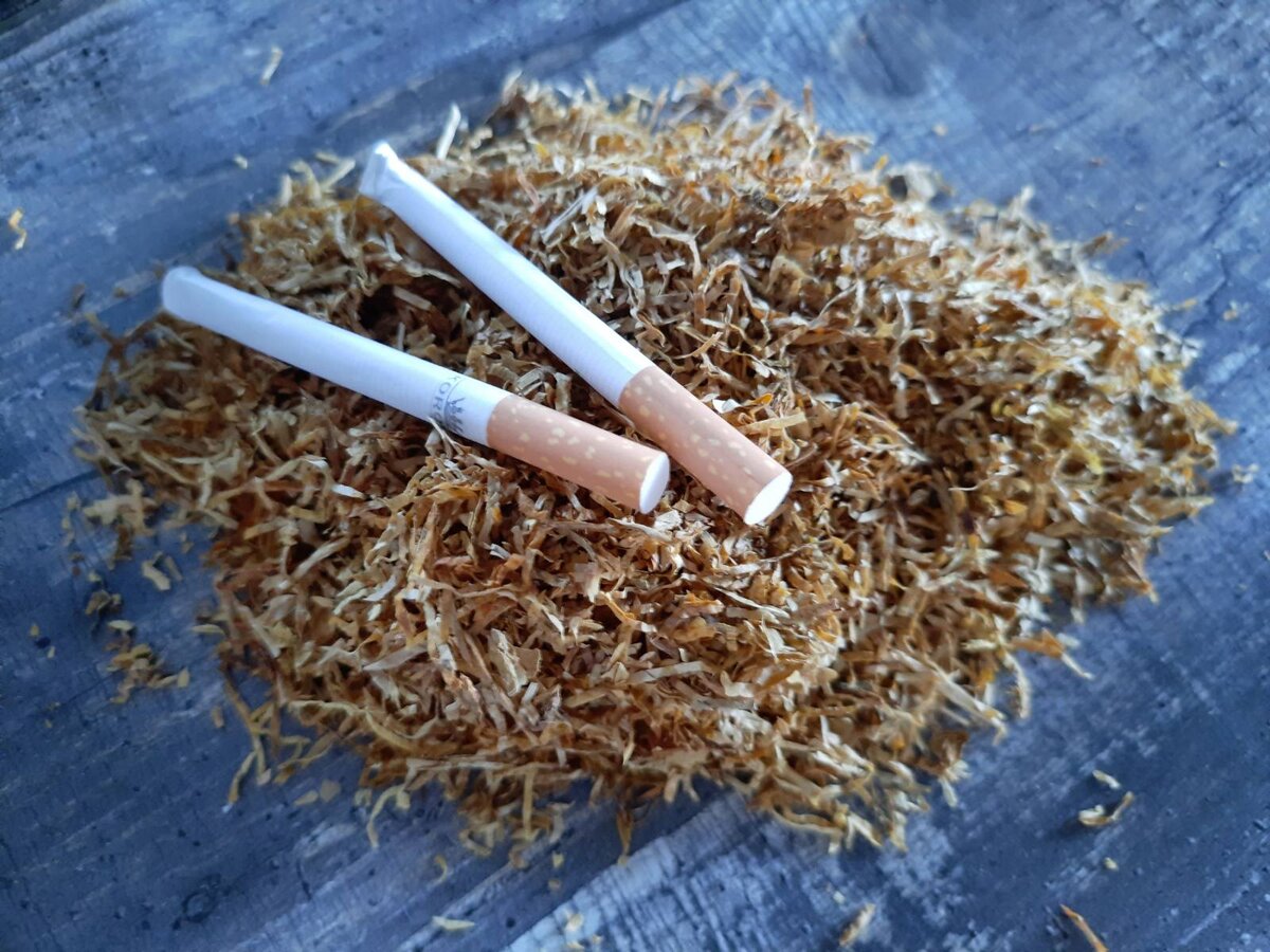 Купить табак курительный на развес для сигарет
