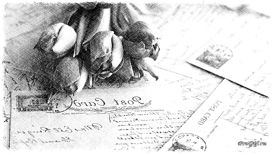 Фото из открытого источника