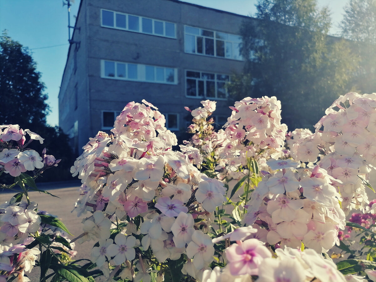 Такое настроение,  светлое и позитивное,  у меня теперь каждое новое рабочее утро