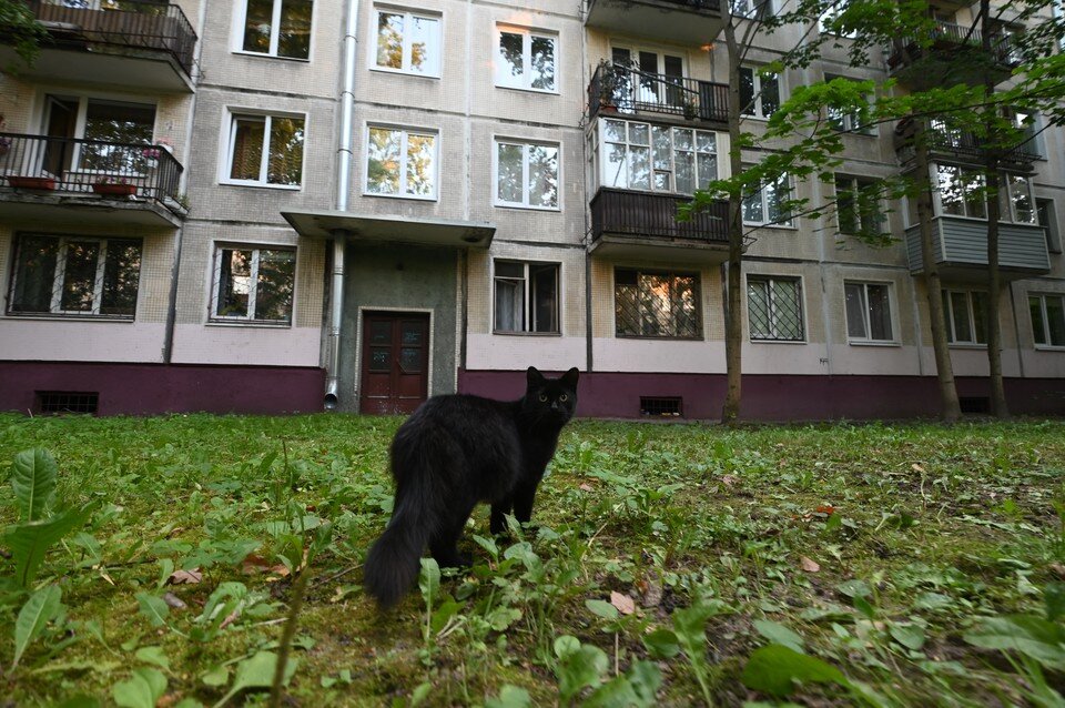     Пока горожане добились реакции главы СК Бастрыкина на свои беспокойства и приема в городской суд их коллективного иска. Юлия ПЫХАЛОВА