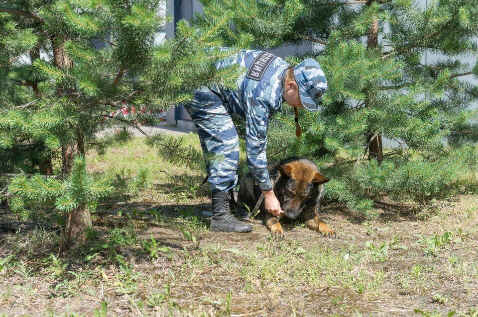     В деле разбираются силовики Олег ЗОЛОТО