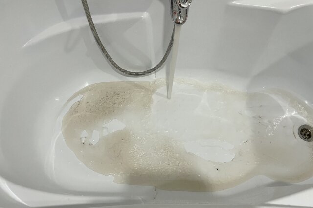    Фото: АиФ на Мурмане/ Александра Михова