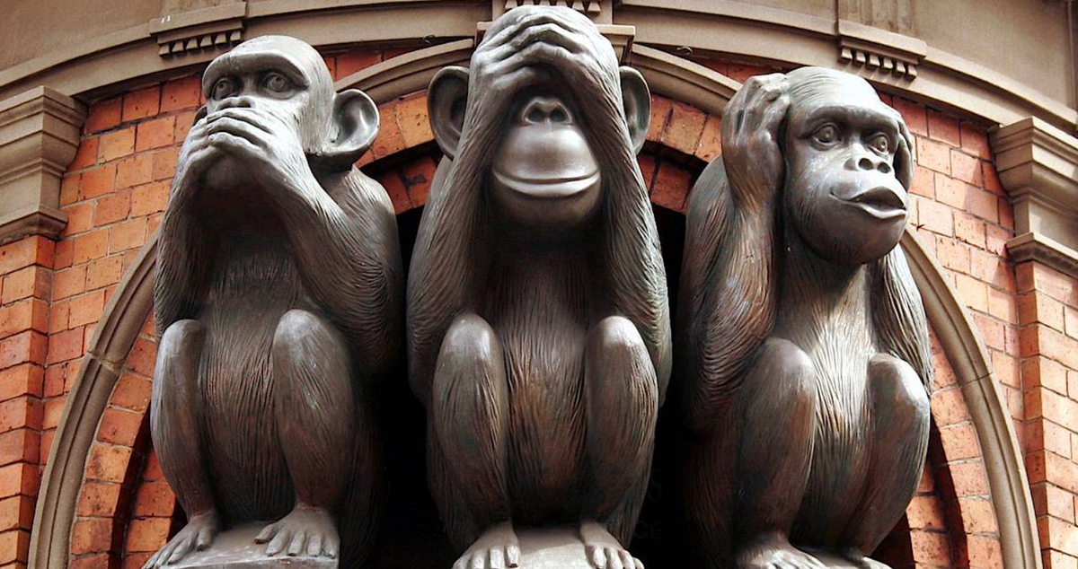 Ничего не вижу, ничего не слышу, ничего никому не скажу. Абсолютно комфортное пребывание. https://clck.ru/327TEW