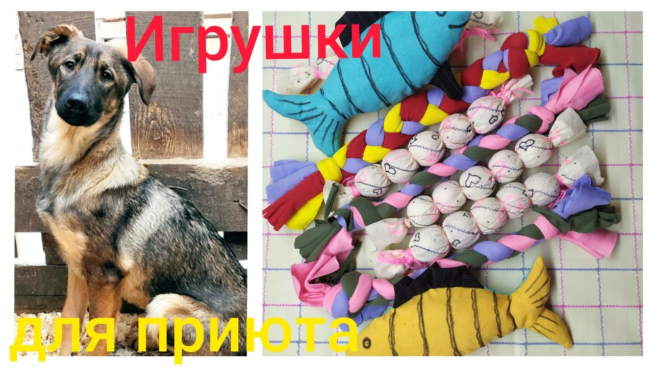 Игрушки для собак по низкой цене купить в Санкт-Петербурге СПб