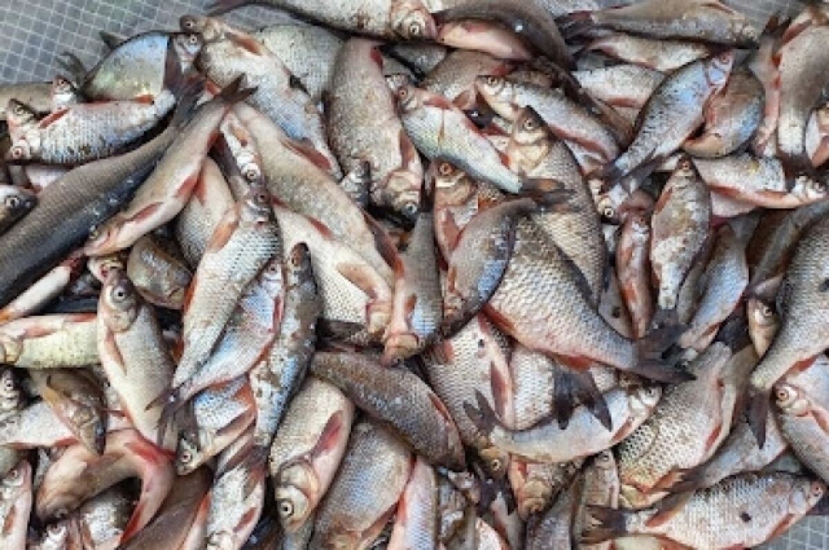    Сахалинский рыбозавод ищет работников в Тюмени на зарплату 128 тысяч рублей