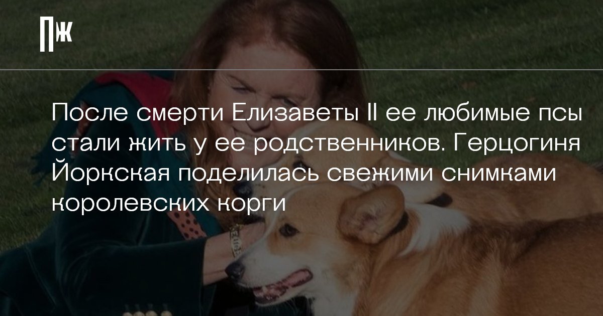     После смерти Елизаветы II ее любимые псы стали жить у ее родственников. Герцогиня Йоркская поделилась свежими снимками королевских корги