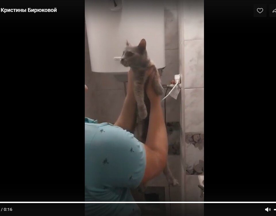    Кадр видео Кристины Бирюковой в группе "Мой и твой Воронеж" в соцсети "ВК"  Предоставлено