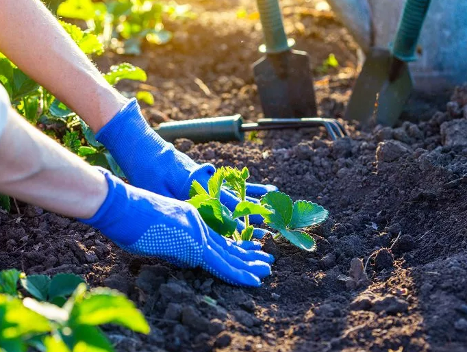 Фотография взята из источника zpitomnik.ru