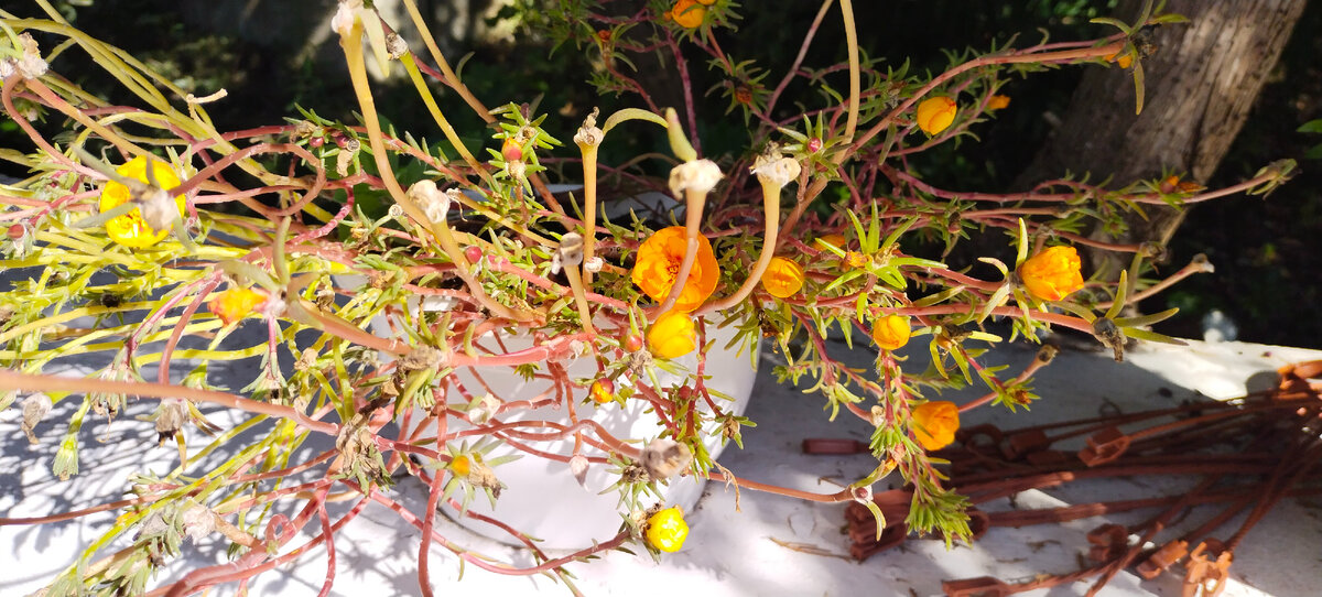 Фото автора канала