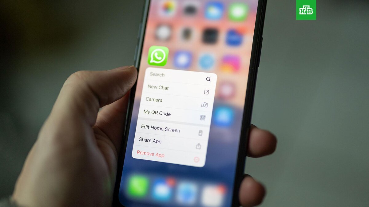    Фото: Dimitri Karastelev / unsplash.com