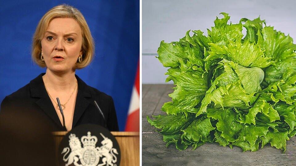     Салат победил: как Лиз Трасс "протухла" за 45 дней и побила антирекорд Daniel Leal/Pool via REUTERS, Unsplash