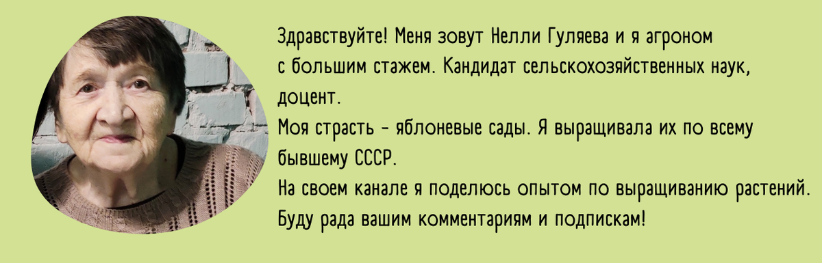 Выращивание сортов яблони сибирской: описание, фото, высота и диаметр кроны, температура подмерзания корней