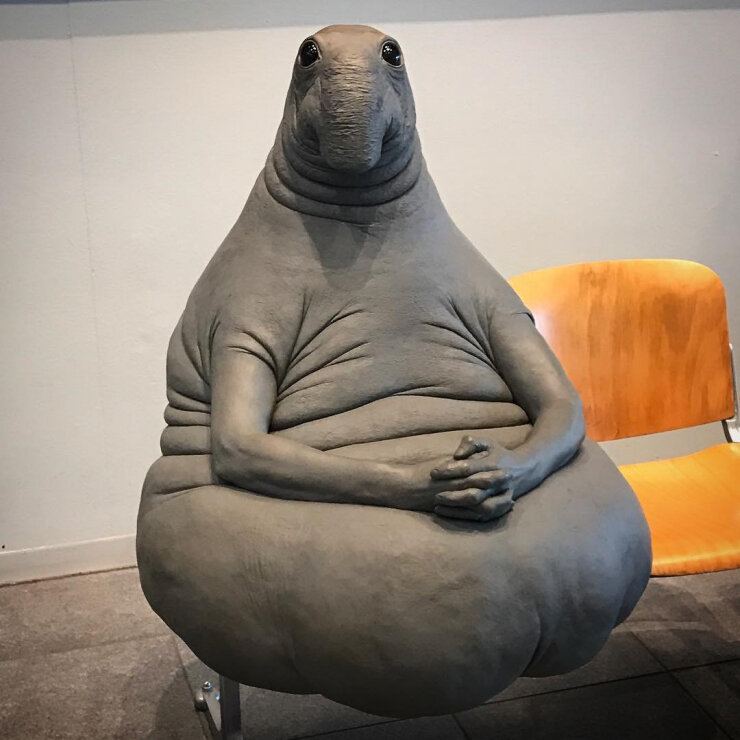 Ждун, фото из сети