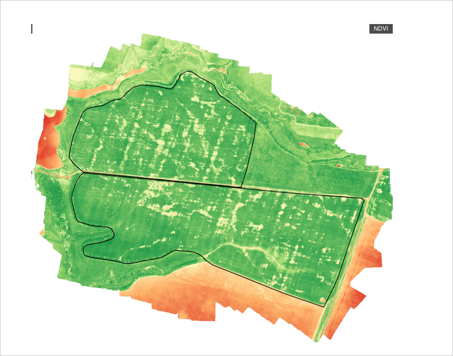 Снимок 2. Снимок с индексом NDVI — фильтром, показывающим качество и количество растительности на участке. Поле разбили на зоны в зависимости от показаний индекса. 