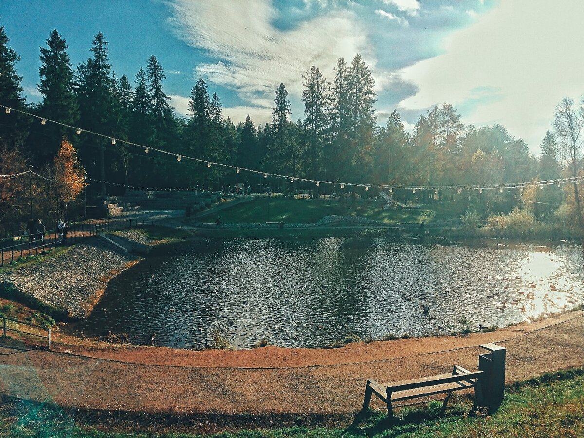 Осеннее