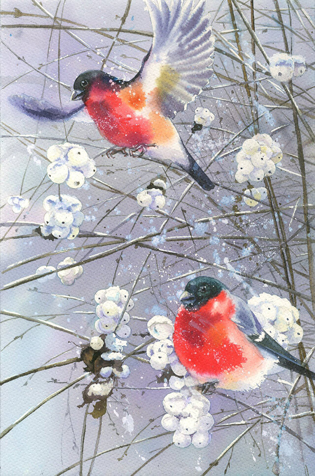 ������ �. �������� 