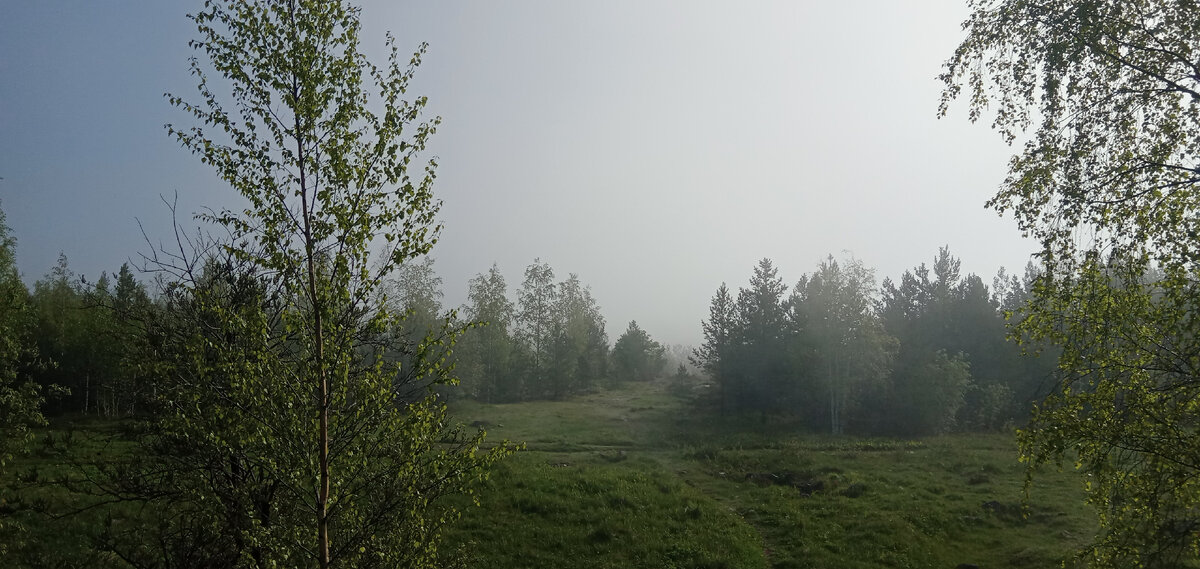 Фото Кочанов А.В.