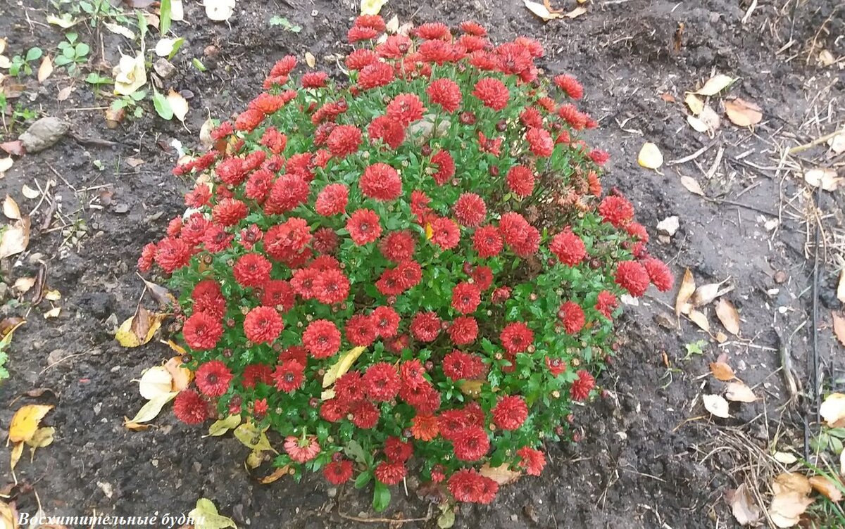 Из личного архива автора канала