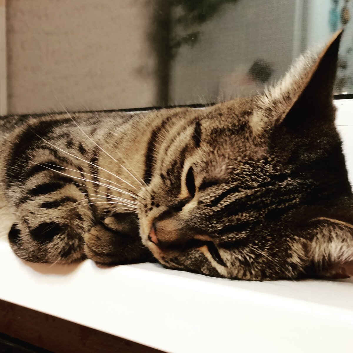 #стихи#стихотвоерениядуши#стихидлятебя#стихидляменя#любовь#