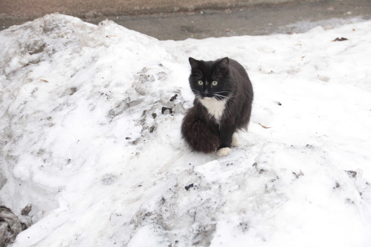 Её интересно было, но так и не подошла 