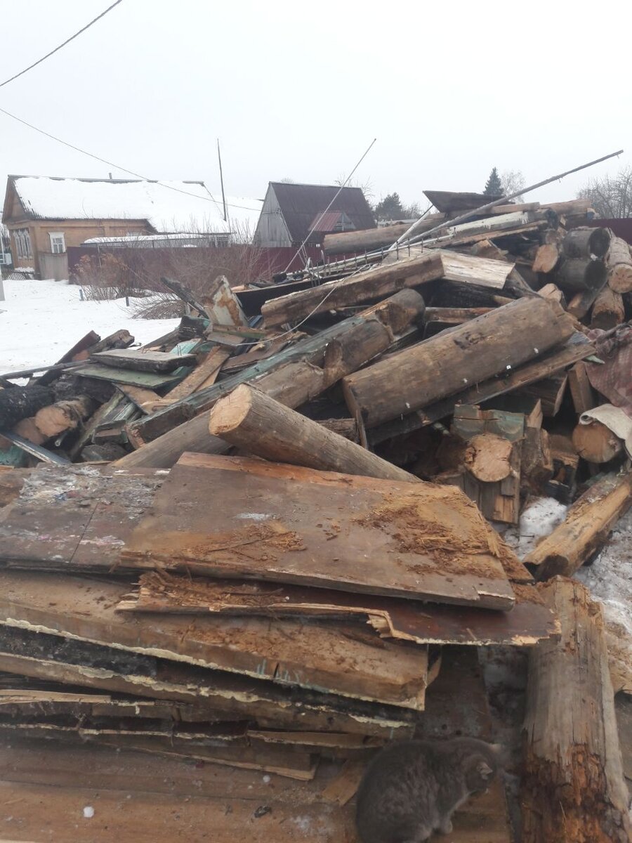 Нашли Мусю?