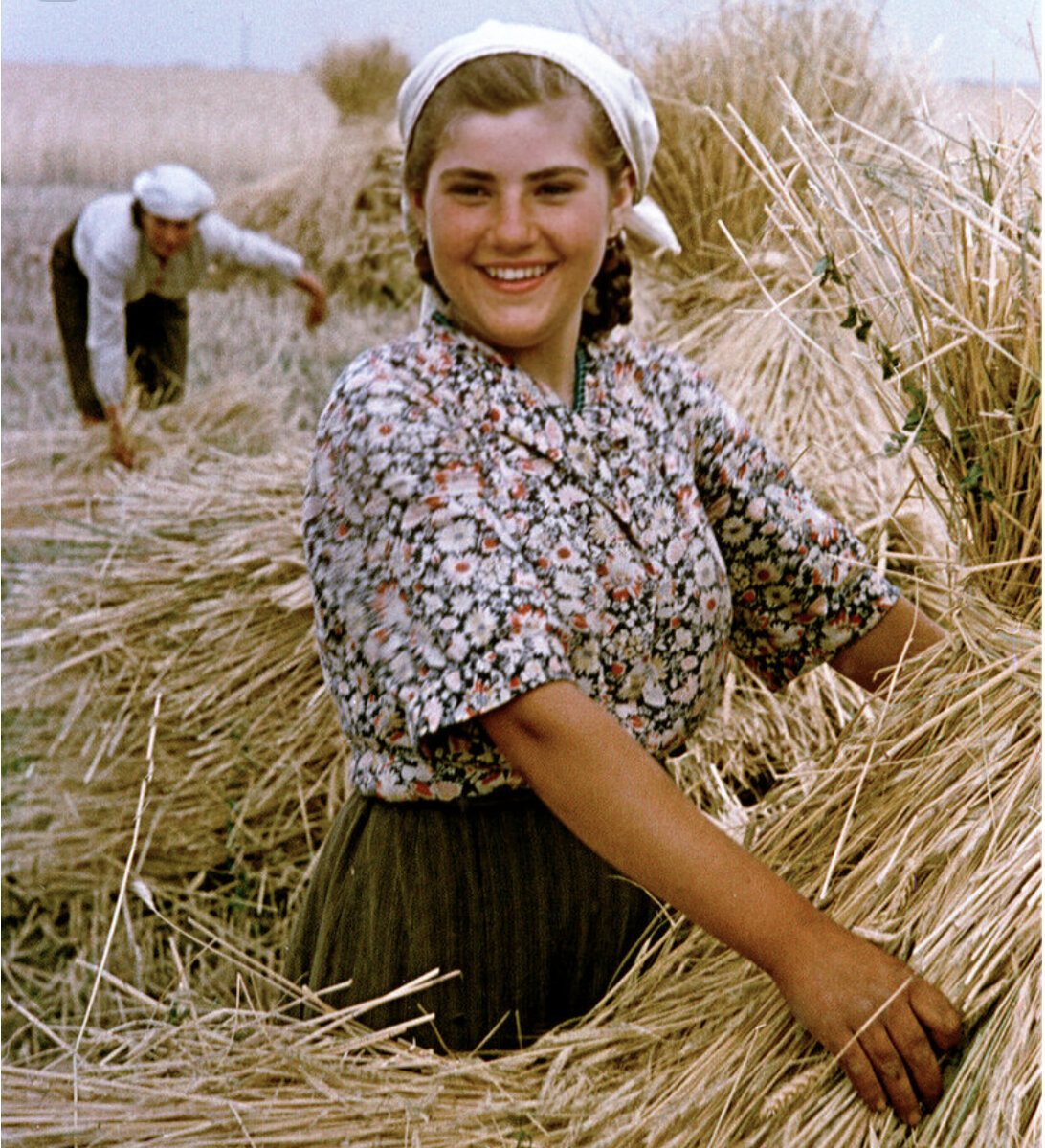 Работница серпа. Семен Фридлянд. Фотограф семён Осипович Фридлянд. Семён Осипович Фридлянд сельское хозяйство СССР. Деревенские женщины.