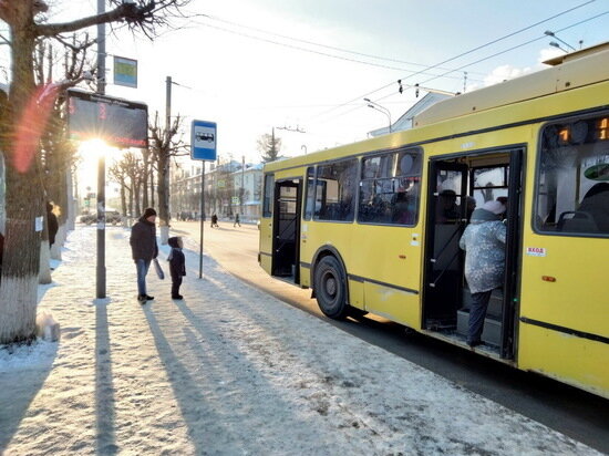   Анастасия Петрова